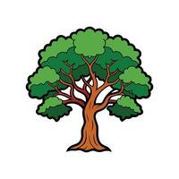 Elegant Cork Oak Tree Outline Design vector