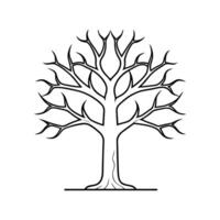 Stylish Outline of Devils Walking Stick Tree vector