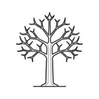 Elegant Outline of Devils Walking Stick Tree vector