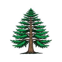 Stylish Outline of Eastern Hemlock Tree vector