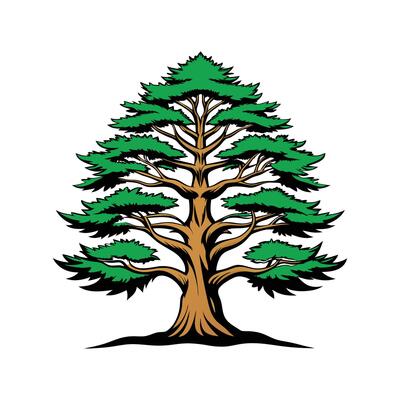 Distinctive Outline of Eastern Raved Cedar