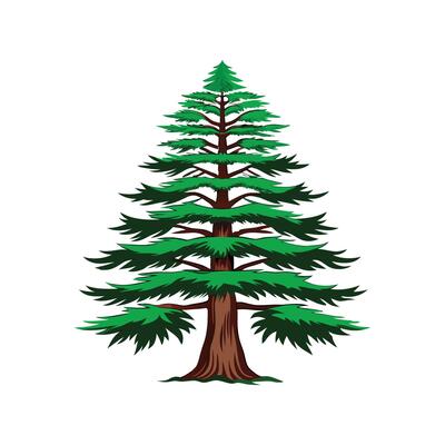 Elegant Eastern Hemlock Tree Outline Design