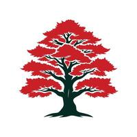 Unique Eastern Red Cedar Tree Outline vector