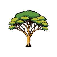 Stylish Outline of False Acacia Tree vector