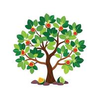 Charming Outline of Fig Tree vector