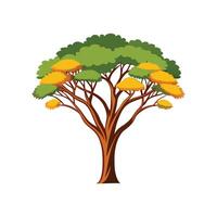Charming Outline of False Acacia Tree vector