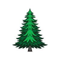 Distinct Fraser Fir Tree Outline Art vector
