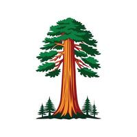 Giant Sequoia Tree Bold Outline Design 2 vector