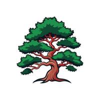 Distinct Japanese Cedar Tree Outline Art vector