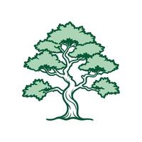 Juniper Tree Bold Outline Design 1 vector