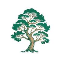 Distinct Juniper Tree Outline Art vector