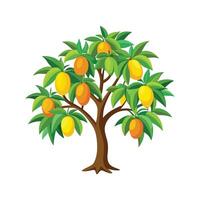 Mango Tree Design 3 vector