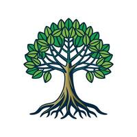 Distinct Mangrove Tree Outline Art vector