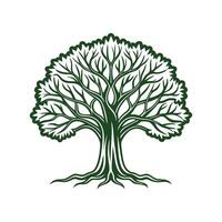 Moreton Bay Fig Tree Bold Outline Design 1 vector