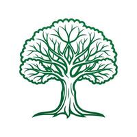 Moreton Bay Fig Tree Bold Outline Design 3 vector