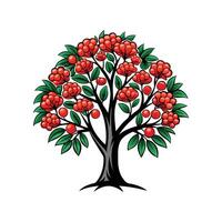 Charming Mountain Ash Tree Outline vector