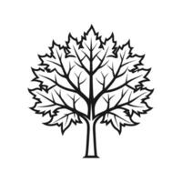 Norway Maple Tree Bold Outline Design 3 vector