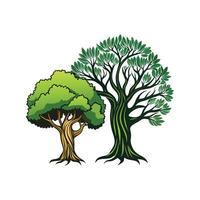 Olive Tree and Indian Banyan Tree Bold Outline Design 1 vector
