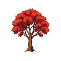 Paperbark Maple Tree Bold Outline Design 2 vector