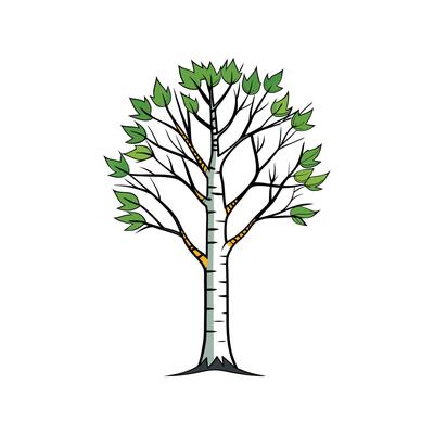 Paper Birch Tree Bold Outline Design 1
