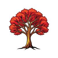 Distinct Paperbark Maple Tree Outline Art vector