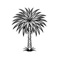 Ponytail Palm Tree Bold Outline Design 2 vector