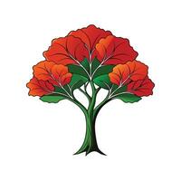 Realistic African Tulip Tree Bold Outline Design 1 vector