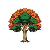 Realistic American Beech Tree Bold Outline Design 1 vector