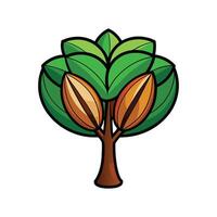 Realistic Amazonian Brazil Nut Tree Bold Outline Design 1 vector