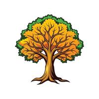 Realistic Arizona Walnut Tree Bold Outline Design 3 vector