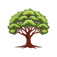 Realistic Arizona Walnut Tree Bold Outline Design 2 vector