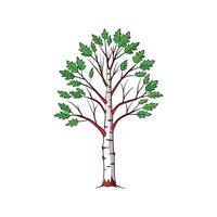 Realistic Birch Tree Bold Outline Design 2 vector