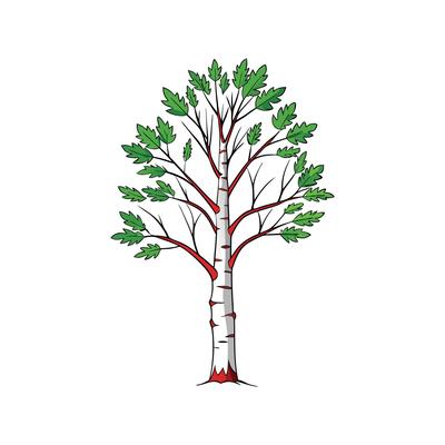 Realistic Birch Tree Bold Outline Design 2