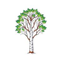 Realistic Birch Tree Bold Outline Design 3 vector