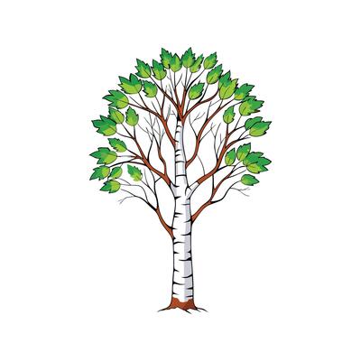 Realistic Birch Tree Bold Outline Design 3