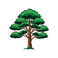 Realistic Brazilian Pine Tree Bold Outline Design 3 vector