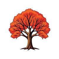 Realistic Butternut Hickory Tree Bold Outline Design 2 vector