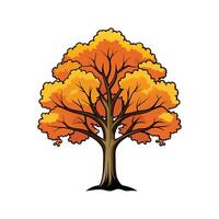 Realistic Butternut Hickory Tree Bold Outline Design 1 vector
