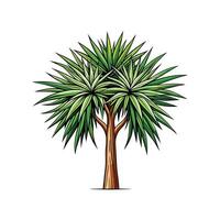 Realistic Cabbage Tree Palm Bold Outline Design 2 vector