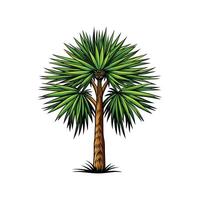 Realistic Cabbage Tree Palm Bold Outline Design 1 vector