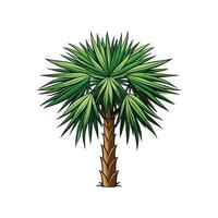 Realistic Cabbage Tree Palm Bold Outline Design 3 vector