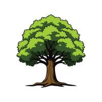 Realistic California Black Oak Tree Bold Outline Design 2 vector