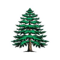 Realistic Eastern Hemlock Tree Bold Outline Design 2 vector