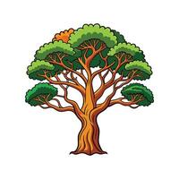 Realistic Indian Cork Tree Bold Outline Design 1 vector
