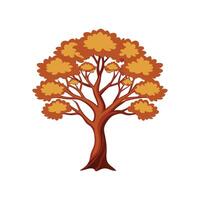Realistic Indian Cork Tree Bold Outline Design 2 vector