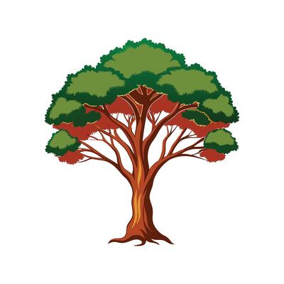 Realistic Indian Cork Tree Bold Outline Design 3