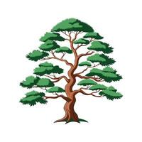 Realistic Japanese White Pine Tree Bold Outline Design 2 vector