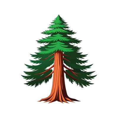 Realistic Pacific Coast Redwood Tree Bold Outline Design 1