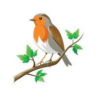 Distinct Robin Perched on Tree Outline Art vector