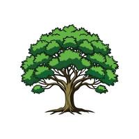 Realistic Southern Live Oak Tree Bold Outline Design 3 vector